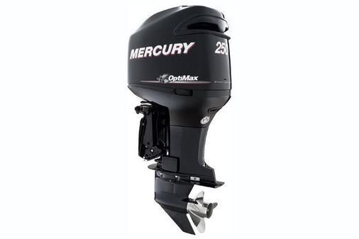 Mercury OptiMax 250 hp image