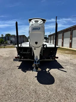 Haynie 25 Magnum image