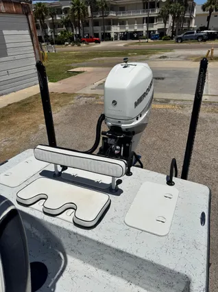 Haynie 25 Magnum image