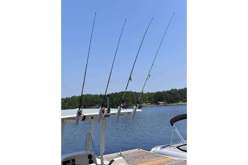 Stingray 206-CC image