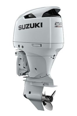 Suzuki DF250ATSSW - main image