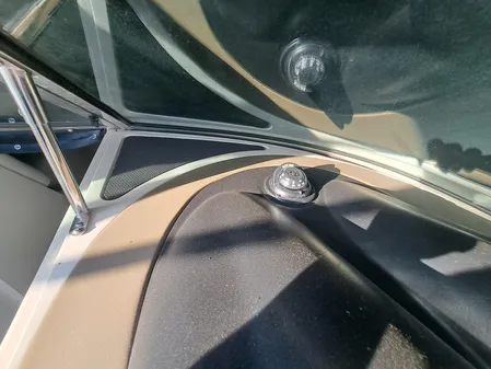 Sea Ray 260 Sun Deck image