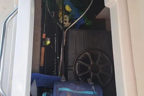 Sea Ray 260 Sun Deck image