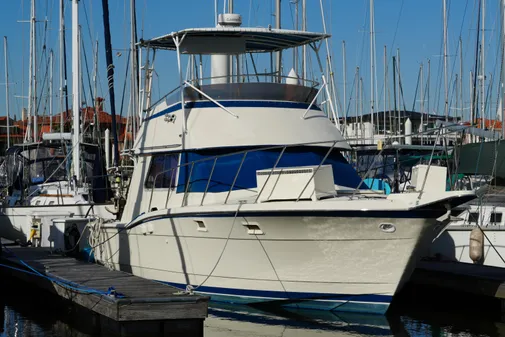 Hatteras 36 