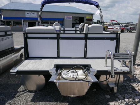 Qwest 816 CTR Fish LT image