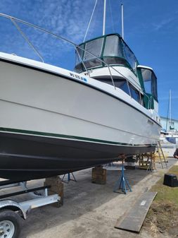 Silverton 34-MOTORYACHT image