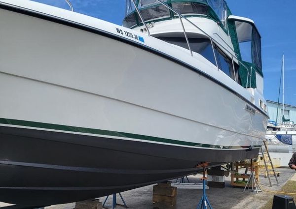 Silverton 34-MOTORYACHT image