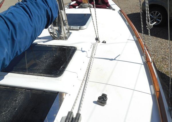 Cape-cutter 19 image