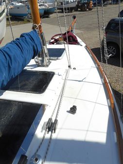 Cape-cutter 19 image