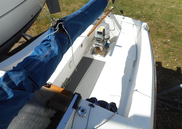 Cape-cutter 19 image