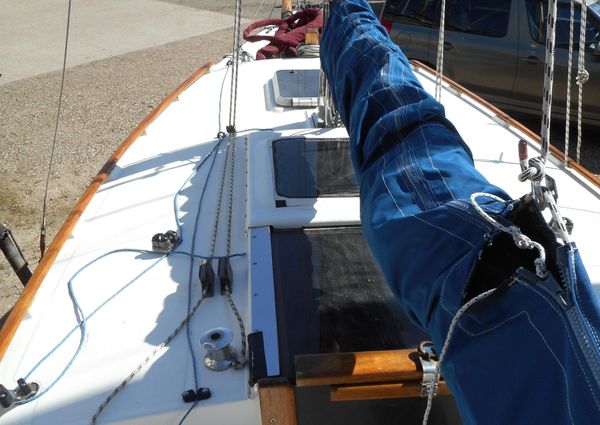 Cape-cutter 19 image