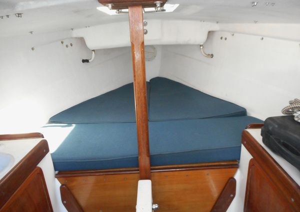 Cape-cutter 19 image