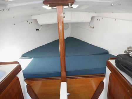 Cape-cutter 19 image