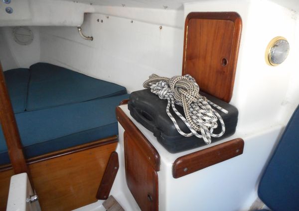 Cape-cutter 19 image