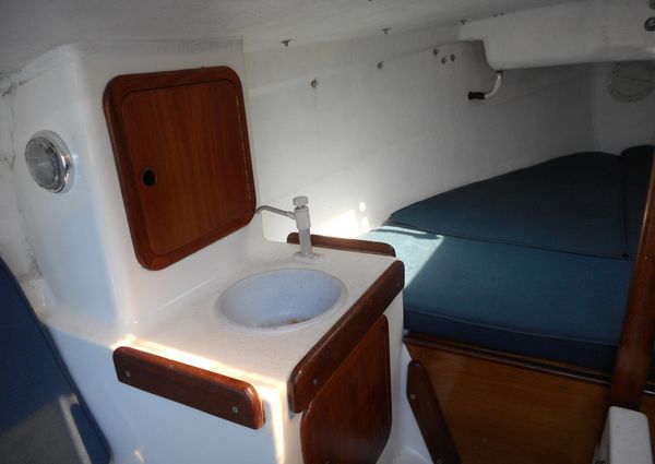 Cape-cutter 19 image