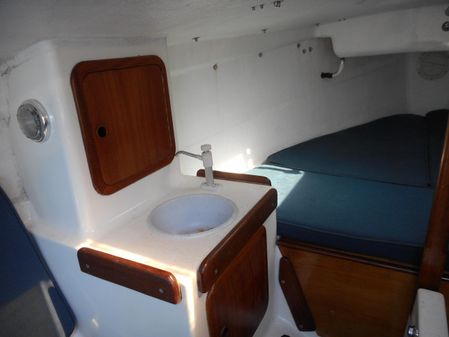 Cape-cutter 19 image