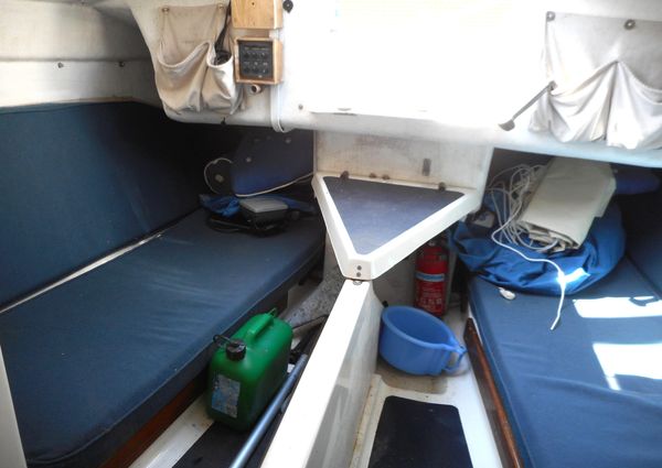 Cape-cutter 19 image