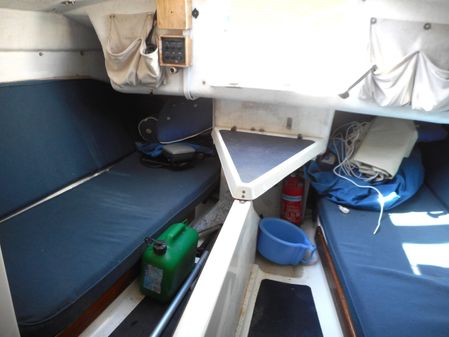 Cape-cutter 19 image