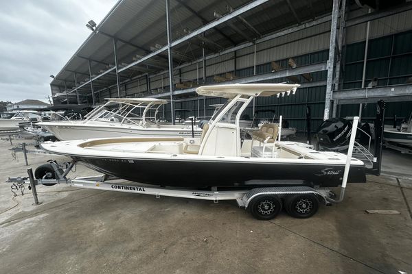 Scout 251 XSS - main image