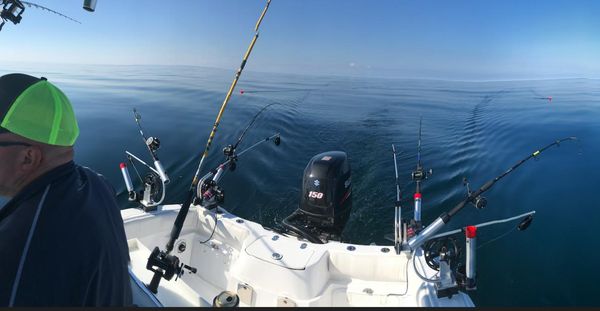 Glasstream 221CC image