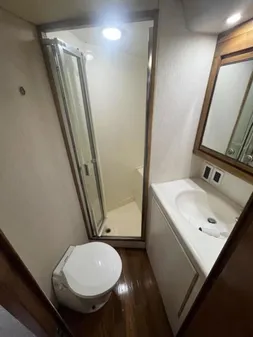 Bertram 46 Moppie image