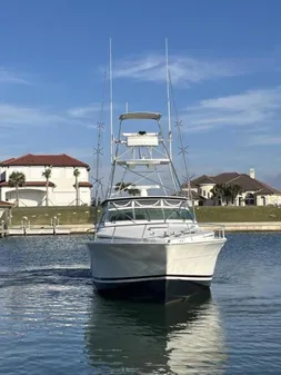 Bertram 46 Moppie image