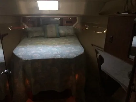 Sea Ray 390 Sport Fisherman image