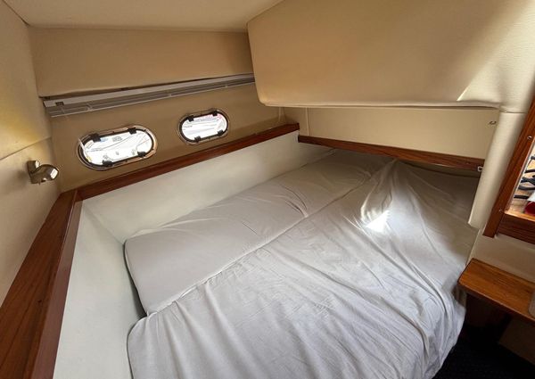 Nidelv 28-CLASSIC image