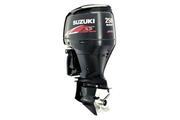 Suzuki DF250SS - main image