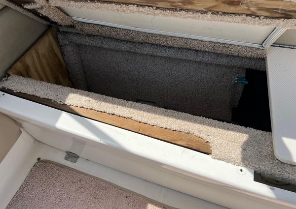 Chaparral 210-SSI image