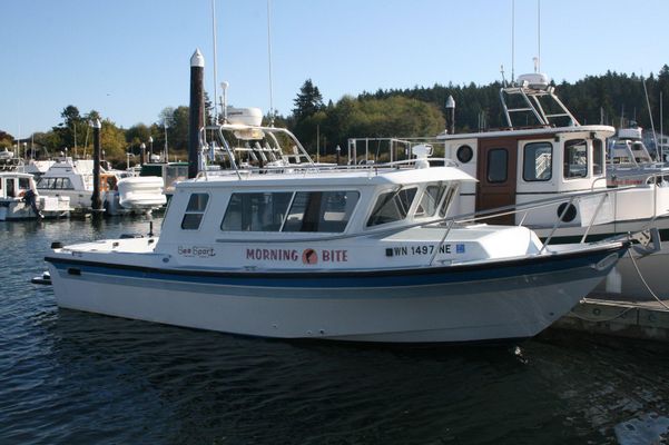 Sea Sport Explorer 2400 - main image