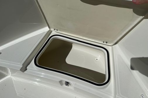 Quicksilver ACTIV-455-OPEN image