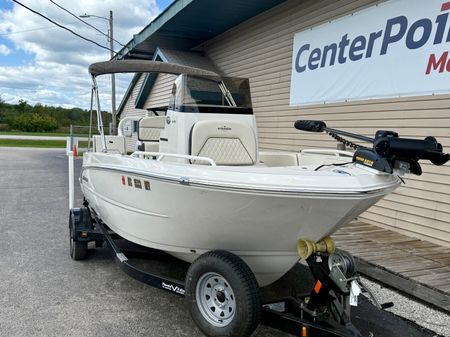 Stingray 173CC image