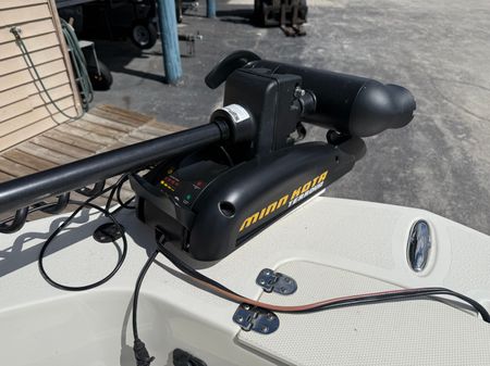 Stingray 173CC image