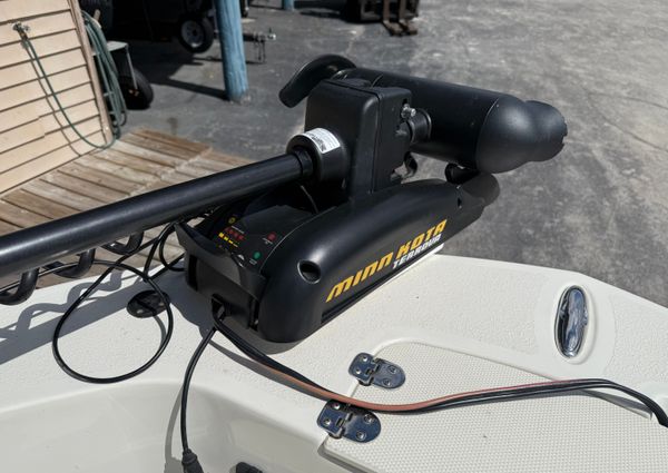 Stingray 173CC image