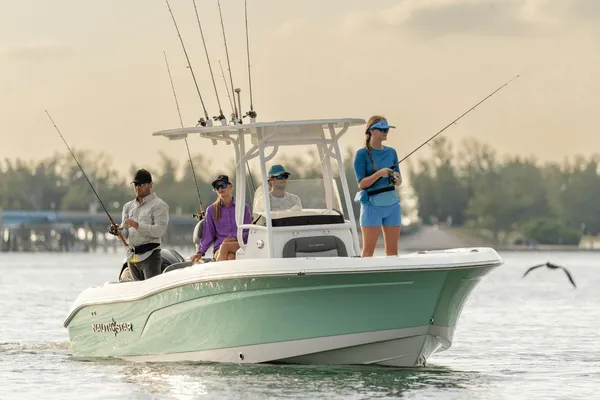 Nauticstar 222L-OFFSHORE image
