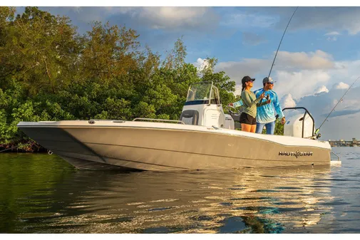 Nauticstar 211-HYBRID image