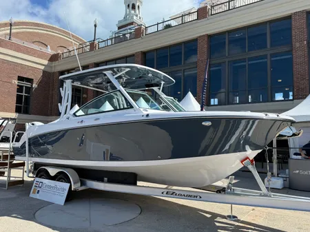 Stingray 259 Dual Console 