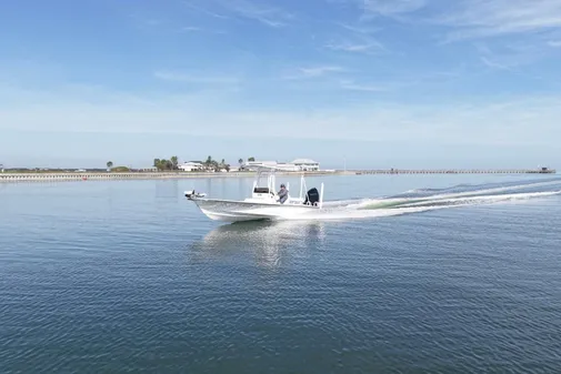 Haynie 25 Magnum image