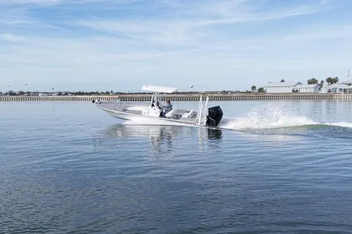 Haynie 25 Magnum image