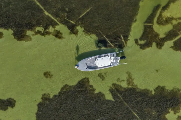 Haynie 25 Magnum image