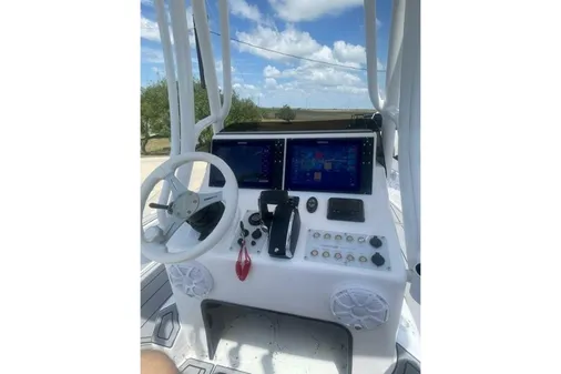 Haynie 25 Magnum image