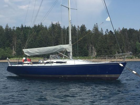 Taylor 41 - main image