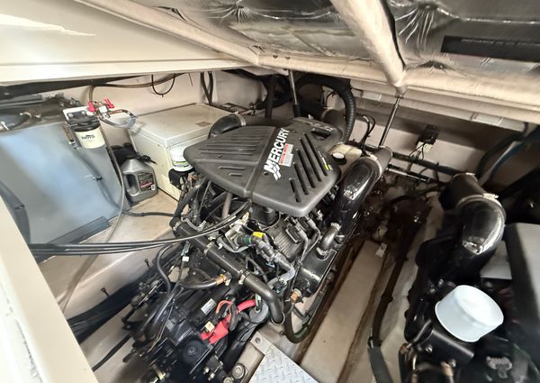 Sea-ray 390-SUNDANCER image