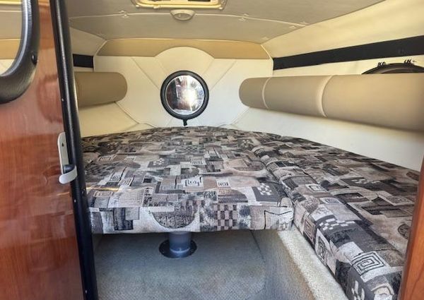 Rinker 282-CAPTIVA-CUDDY image