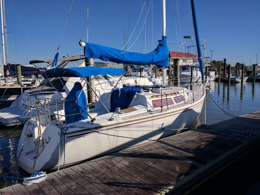 Catalina - main image