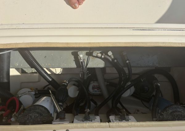 Scout 282-SPORTFISH image