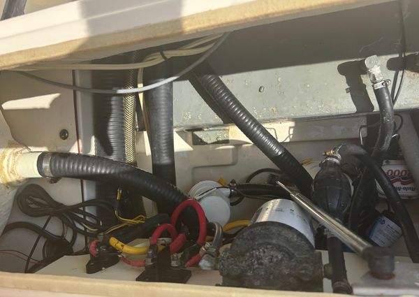 Scout 282-SPORTFISH image