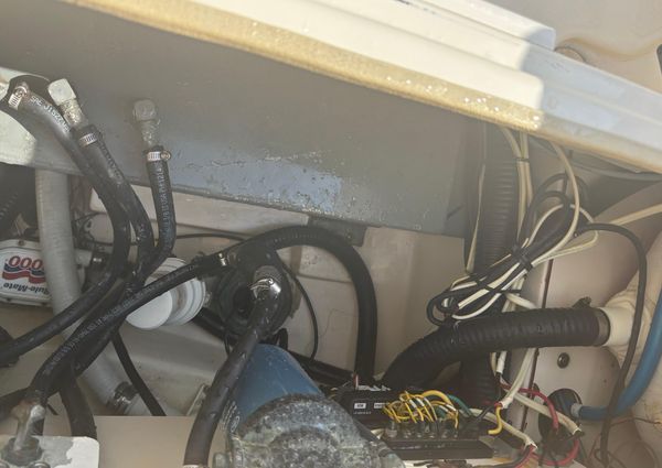 Scout 282-SPORTFISH image