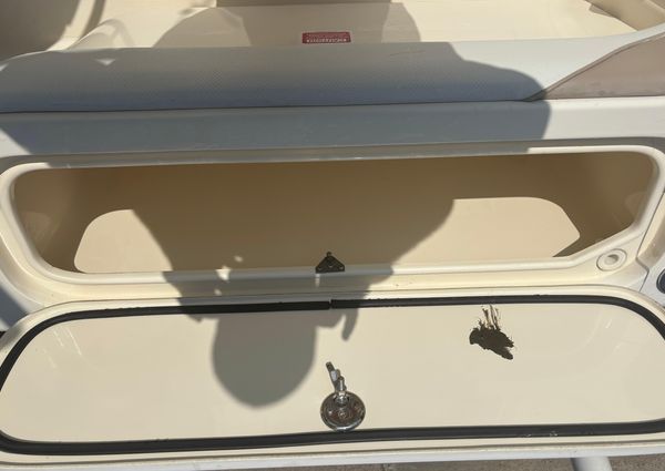 Scout 282-SPORTFISH image